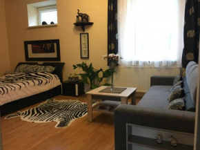 Apartamentai pas Reginą, Palanga